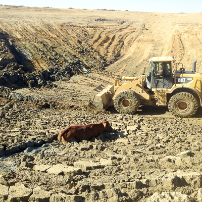 Existing Dam Maintenance